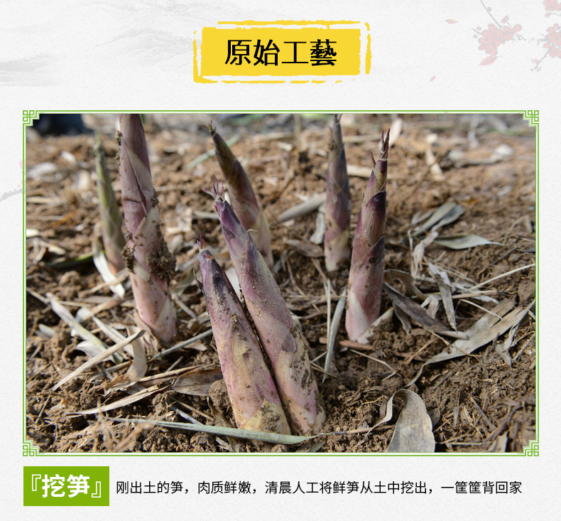 详情04