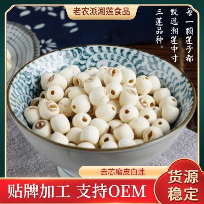 新货上市 去芯磨皮白莲子湘莲干货寸 通芯磨白莲子1KG 厂家直发