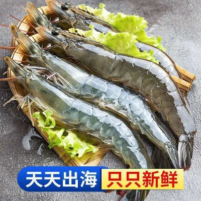 新鲜青岛大虾超大海虾海鲜水产鲜活活虾冷冻虾子基围虾一盒批发图4