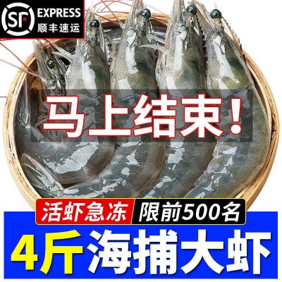 国产大虾对虾海鲜基围虾明虾青虾白虾海虾冻虾带冰5斤装顺丰批发