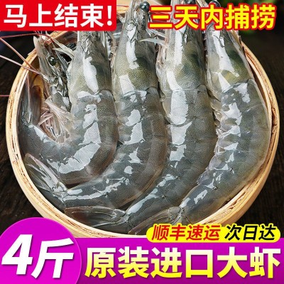 国产大虾对虾海鲜基围虾明虾青虾白虾海虾冻虾带冰5斤装顺丰批发图4