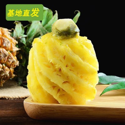10斤包邮香水小菠萝 新鲜当季水果凤梨手撕小波萝现摘应整箱批发图4
