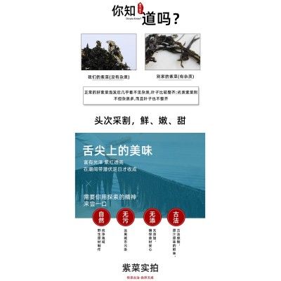 源头厂家定制紫菜干货超市50g带料包海产品特产免洗无沙紫菜干货图6