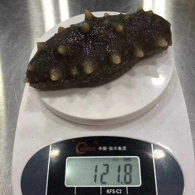 批发海参自有工厂西海纯淡干海参泡发高淡干海参代发顺丰包邮图4