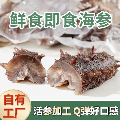 新瑞厂家开袋即食海参批发刺参500g水产海鲜国产鲜食即食海参批发图2