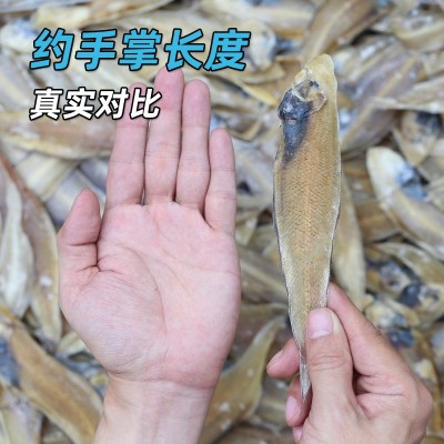 北海龙利鱼干500g渔民自晒咸鱼干北部湾小鱼干货盐干下饭开胃推荐图3
