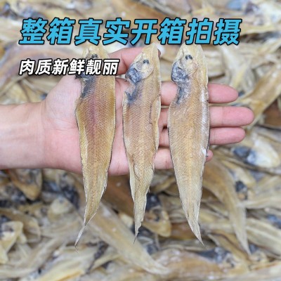 北海龙利鱼干500g渔民自晒咸鱼干北部湾小鱼干货盐干下饭开胃推荐
