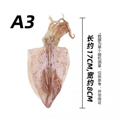 烧烤专用鱿鱼干500g淡干散装尤鱼仔微波商用手撕芥末北海特产干货图4