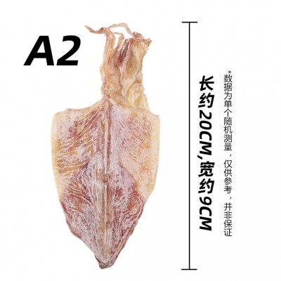 烧烤专用鱿鱼干500g淡干散装尤鱼仔微波商用手撕芥末北海特产干货图3