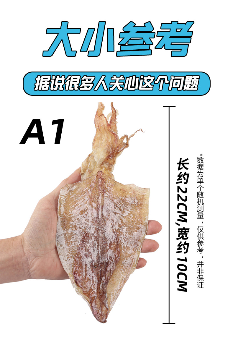 鱿鱼集合详情2.jpg
