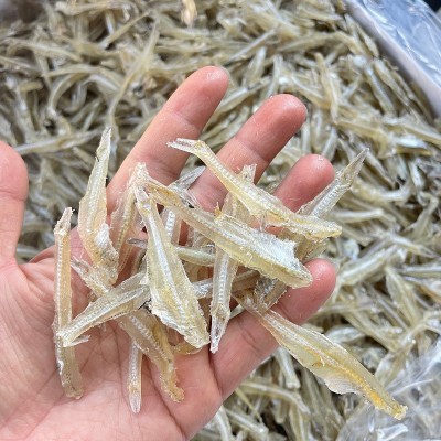 批发北海深海鱼干 海燕鱼 白凡鱼银鱼多味鱼淡干白饭鱼梅鱼水晶鱼图4