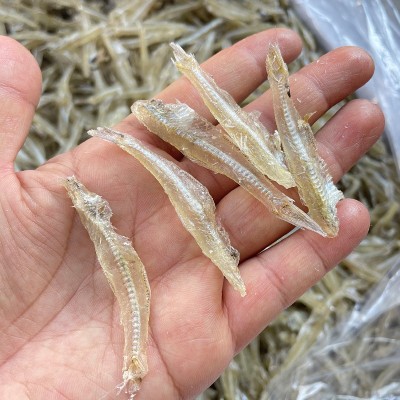 批发北海深海鱼干 海燕鱼 白凡鱼银鱼多味鱼淡干白饭鱼梅鱼水晶鱼