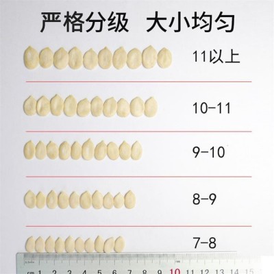 雪白仁生西瓜子仁30斤多规格烘焙原料五仁月饼馅新疆黑瓜子仁图5