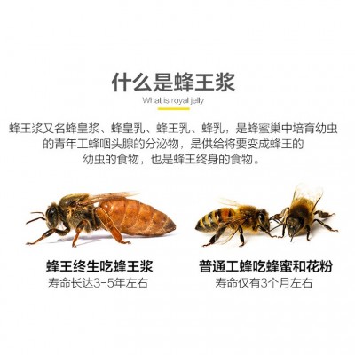 现货活性蜂王浆 500g瓶装新鲜蜂王浆 自有蜂场零售蜂皇浆批发图2