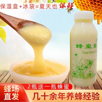 现货活性蜂王浆 500g瓶装新鲜蜂王浆 自有蜂场零售蜂皇浆批发