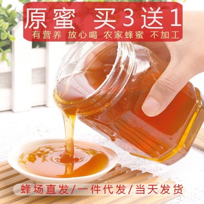 土特产百花蜜蜂巢蜜散装蜂蜜 椴树蜜 喜蜜现货批发土蜂蜜