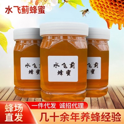 农家自养高浓度土蜂水飞蓟蜂蜜 水飞蓟花散装蜂蜜