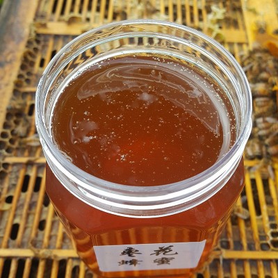 500g天然枣花蜜农家自产深山土蜂蜜批发散装蜂蜜图2