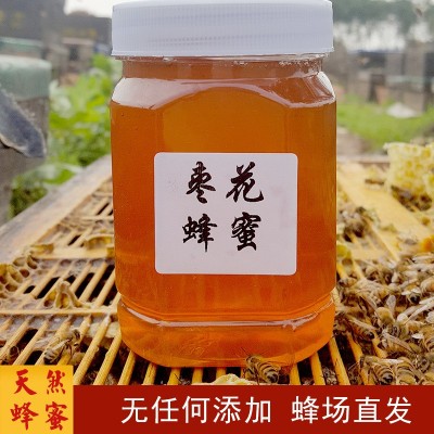 500g天然枣花蜜农家自产深山土蜂蜜批发散装蜂蜜