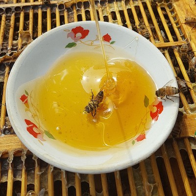 500g天然枣花蜜农家自产深山土蜂蜜批发散装蜂蜜图3