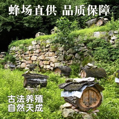 厂家供应蜂蜜批发 瓶装巢蜜农家蜜糖贴牌土蜂蜜500g成熟蜂巢蜜图4