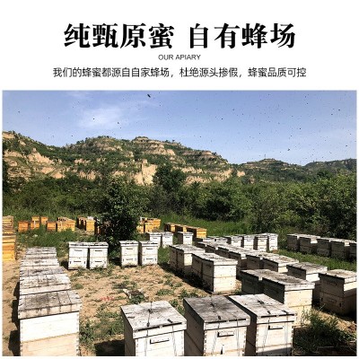 源头工厂 瓶装蜂蜜500g农家液态蜂蜜 山西产野山花蜜百花蜜可批发图3