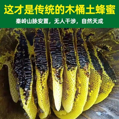 源头工厂新鲜蜂厂瓶装深山结晶土蜂蜜农家自产土蜂蜜500g批发图3