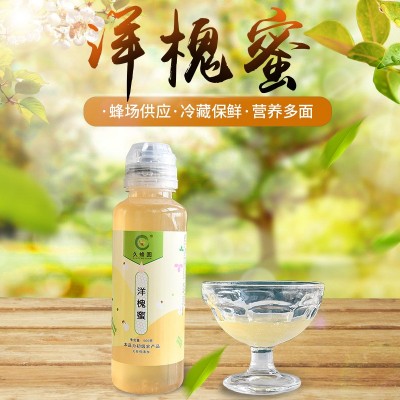 【瓶装洋槐蜜】500g农家自产洋槐蜜 现货供应花蜜伴手礼瓶装蜂蜜