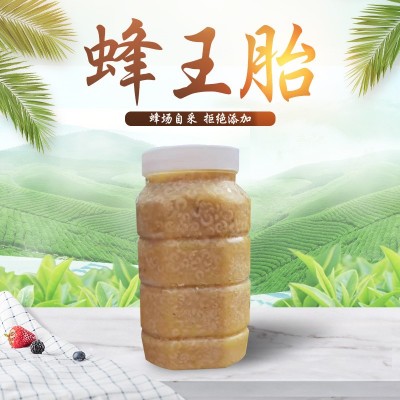 【蜂王胎】蜂厂供应500g瓶装蜂王胎蜜蜂幼虫皇胎幼虫泡酒蜂王虫