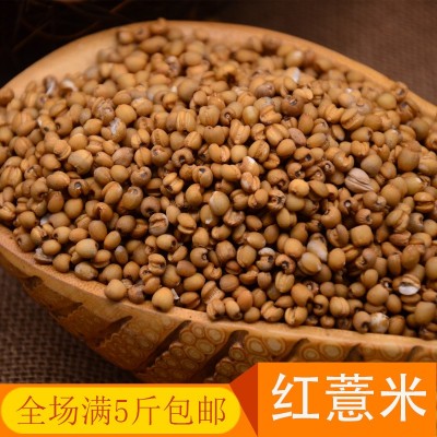 批发贵州特产小薏仁红薏米粗粮薏仁米一件500g包装五斤包邮