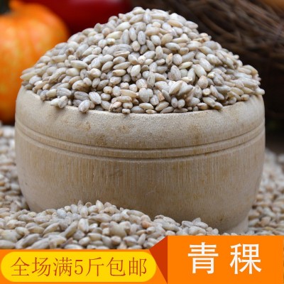 批发青稞青海特产农家粗粮杂粮食品青稞米一件500g代发五斤包邮