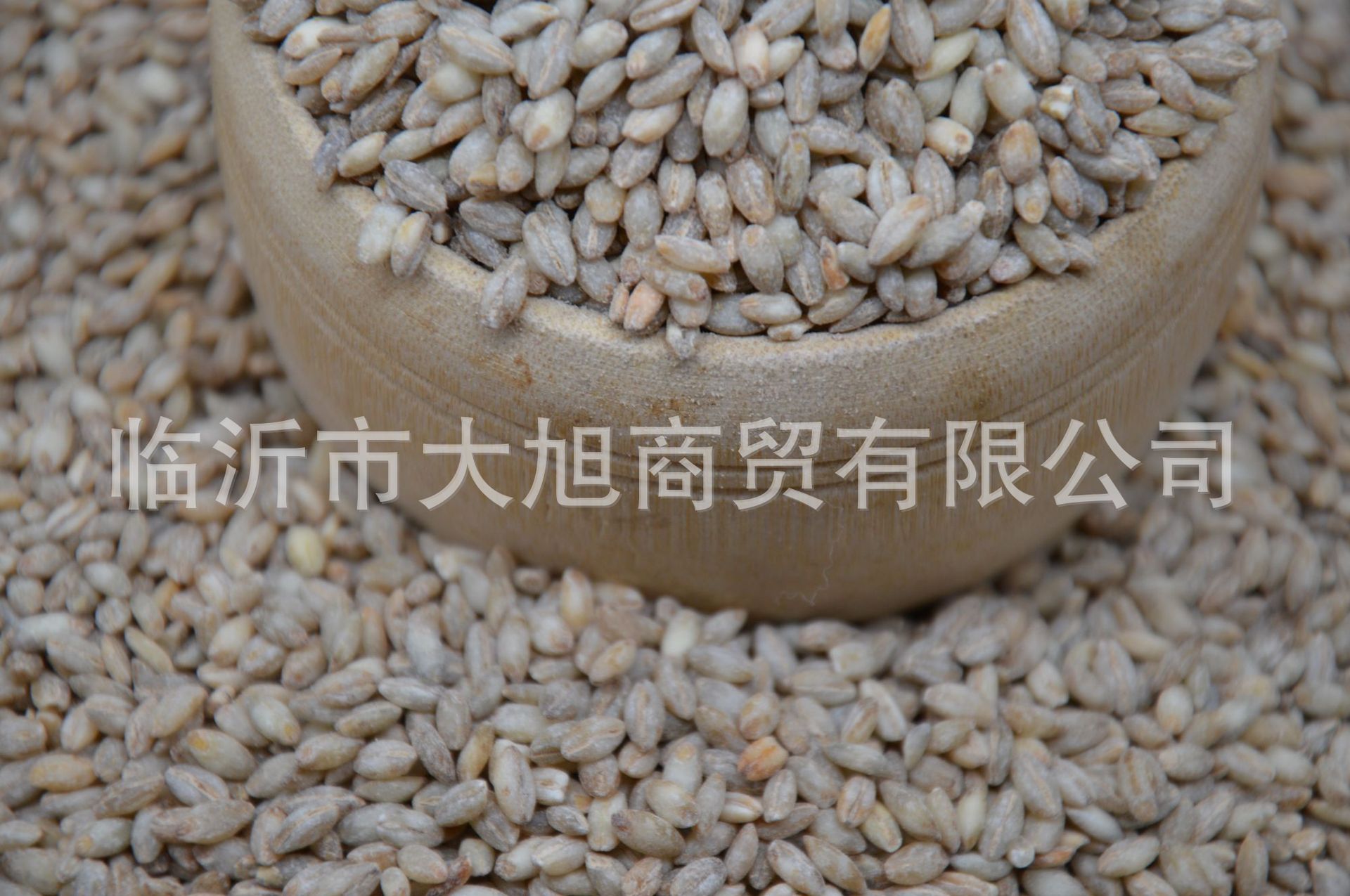 糙米 (8).JPG