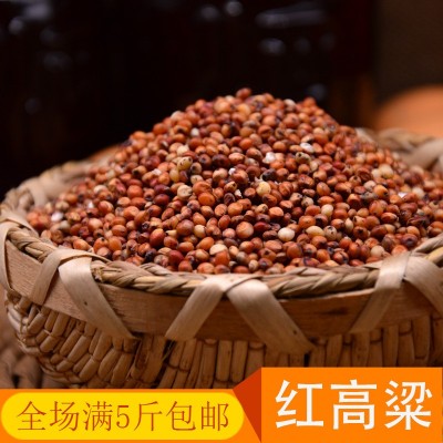 批发高粱 东北红高粱杂粮酿酒高粱 鸽子粮食一件500g代发五斤包邮图3