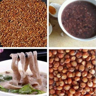 批发高粱 东北红高粱杂粮酿酒高粱 鸽子粮食一件500g代发五斤包邮图5