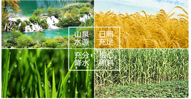 描述头03