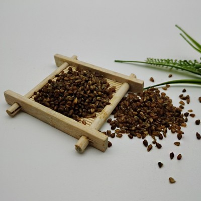 绿色黄金优质新苦荞350g四川大凉山黄苦荞苦荞麦苦荞米荞麦仁批发图4
