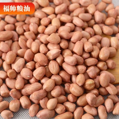 原料花生 新鲜无壳花生仁大粒原料花生果 榨煮食品炸油原料图4