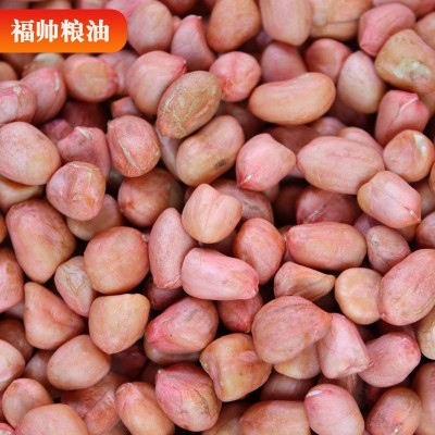 原料花生 新鲜无壳花生仁大粒原料花生果 榨煮食品炸油原料图2