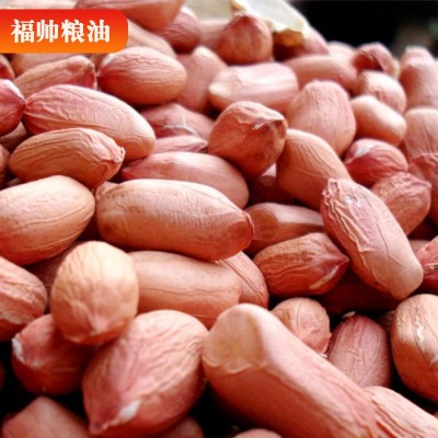原料花生 新鲜无壳花生仁大粒原料花生果 榨煮食品炸油原料图3