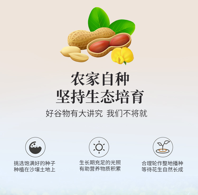 原料花生详情_07.jpg