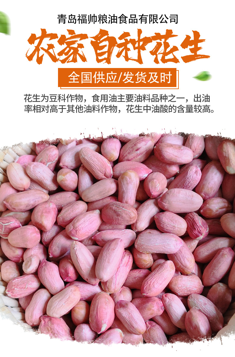 花生详情_01.jpg