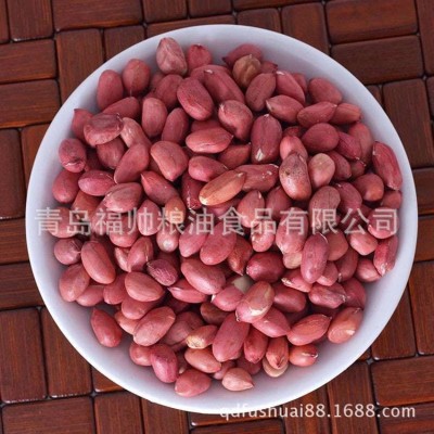 山东青岛长期供应 生花生米 红皮花生 可榨油 东北四粒红花生图2