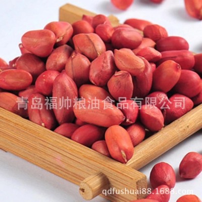 山东青岛长期供应 生花生米 红皮花生 可榨油 东北四粒红花生图3