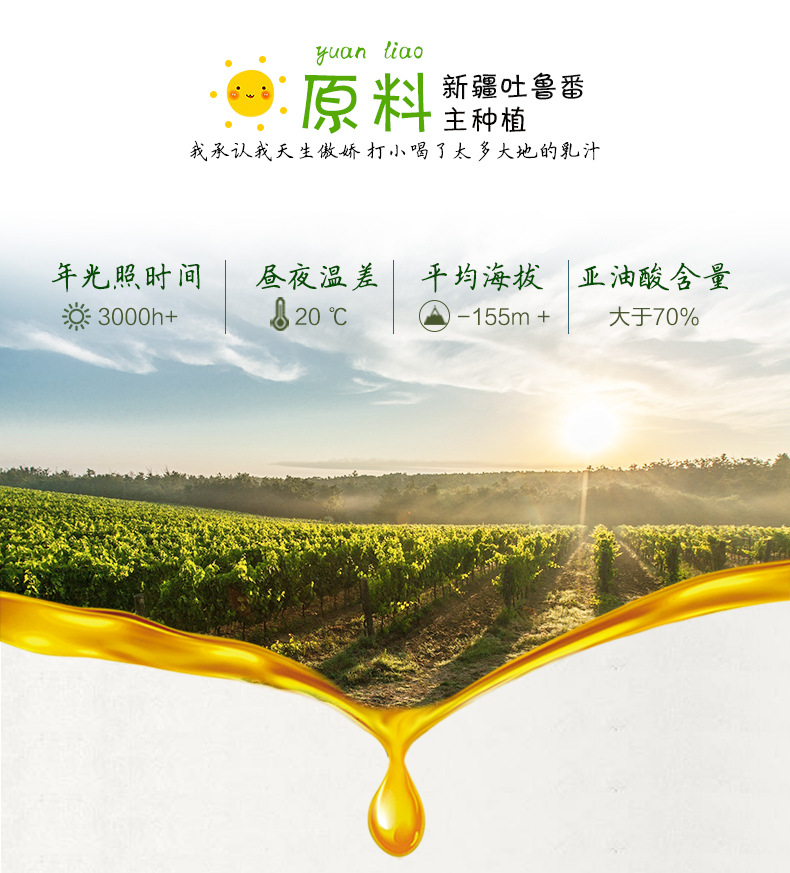 葡萄籽油500ml_06.jpg