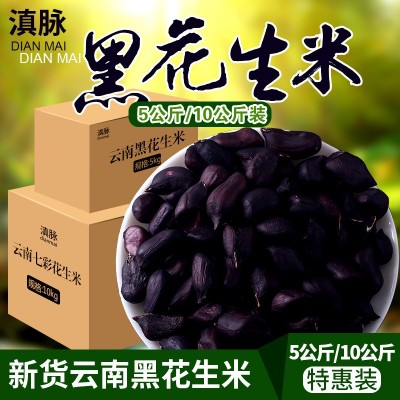 云南普洱特产黑花生米新花生不带壳黑花生仁晒干原味花生散装批发