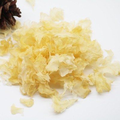 古田大花银耳碎批发白木耳碎片500g品质稳定碎1-3厘米