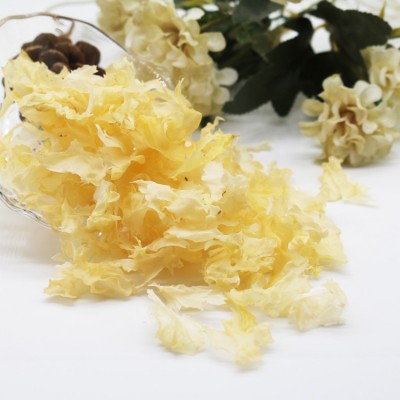 古田大花银耳碎批发白木耳碎片500g品质稳定碎1-3厘米图4