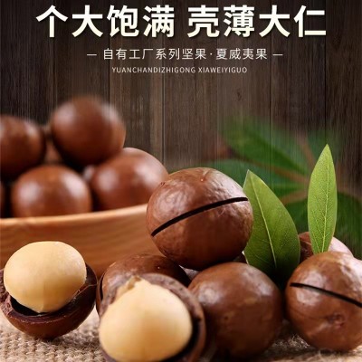 新货特大夏威夷果整箱装奶油味夏果干果坚果炒货零食特产批发包邮图2