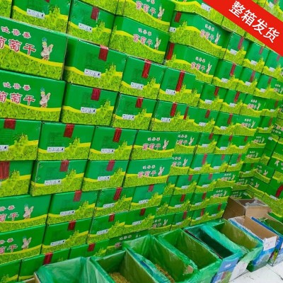 新疆特产吐鲁番葡萄干 绿黄葡萄干 免洗无核葡萄干 整箱散装批发图4