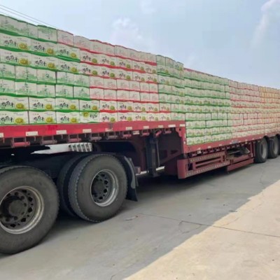 新疆特产吐鲁番葡萄干 绿黄葡萄干 免洗无核葡萄干 整箱散装批发图3